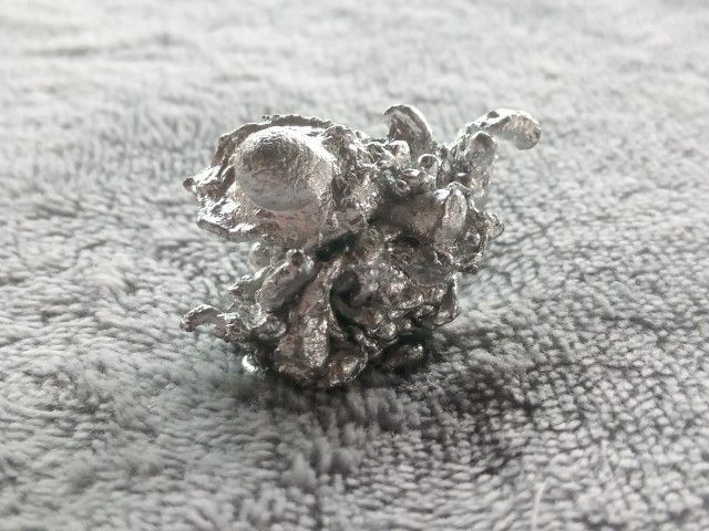 ช่อเงินยวง รูปที่ 4