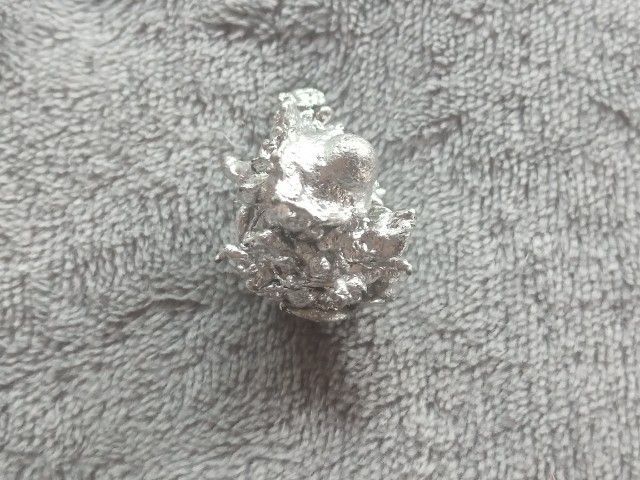 ช่อเงินยวง รูปที่ 10