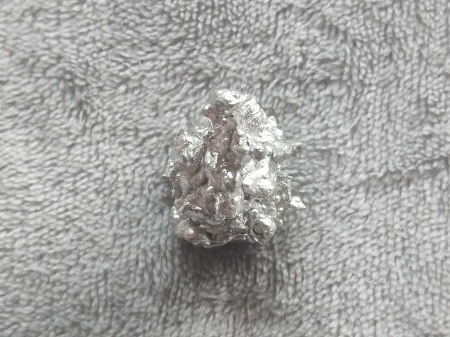 ช่อเงินยวง รูปที่ 8