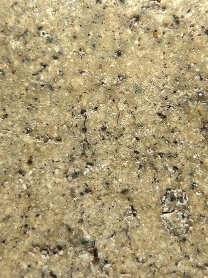 พระสมเด็จวัดระฆังพิมพ์ส่งเกศบัวตูม ตามรูป (58) รูปที่ 7