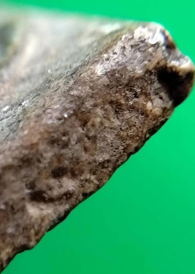 พระสมเด็จ วัดระฆัง บางขุนพรหม วัดเกศไชโย หลวงปู่ภู หลวงปู่นาค รูปที่ 17