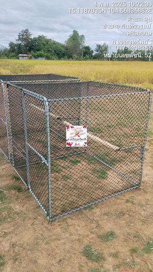 กรงชำไก่มีคอนไก่นอน