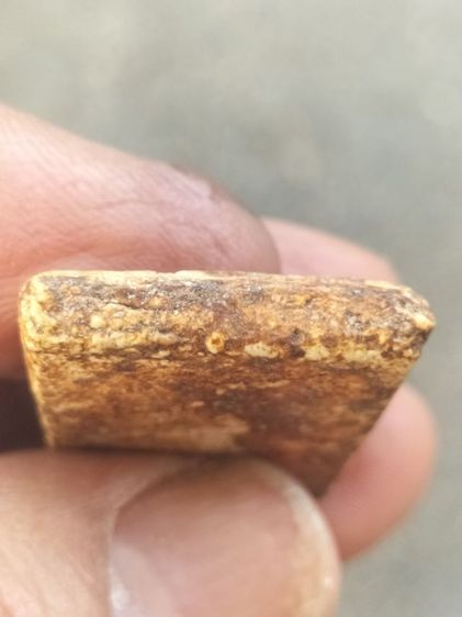 สมเด็จบางขุนพรหมเนื้อเก่าสวยมีคราบกรุเก่าๆ รูปที่ 5