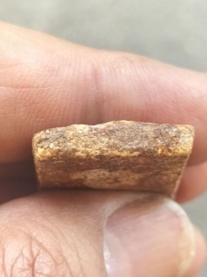 สมเด็จบางขุนพรหมเนื้อเก่าสวยมีคราบกรุเก่าๆ รูปที่ 6