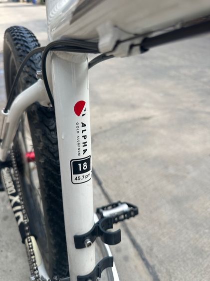 จักรยานเสือภูเขา รูปที่ 4