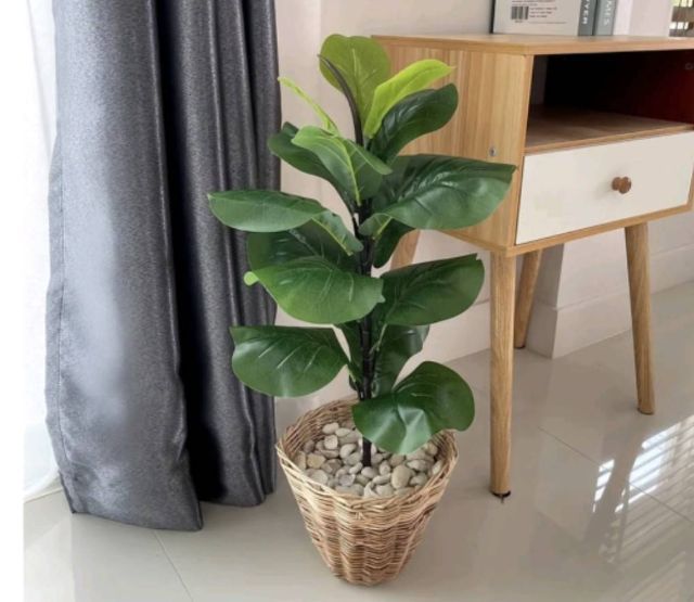 ต้นไม้ปลอมประดับ ลดจาก790 สวยเก๋ พร้อมส่งถึงหน้าบ้าน