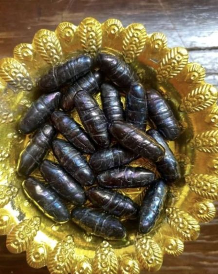 เหล็กไหลของแท้หลวงพ่อคง แวววาวสะท้อน7สี ลดจาก10,000 รูปที่ 2