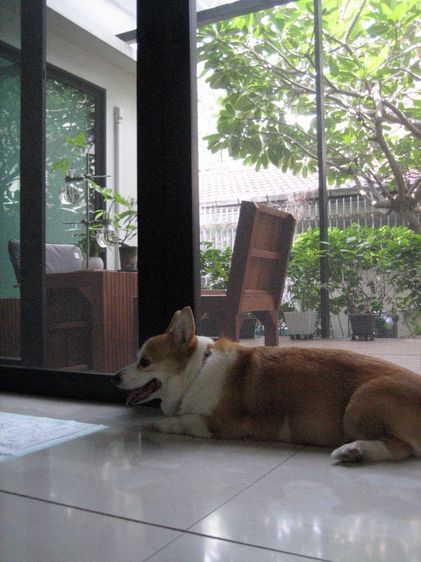 Canon IXY 55 รูปที่ 11