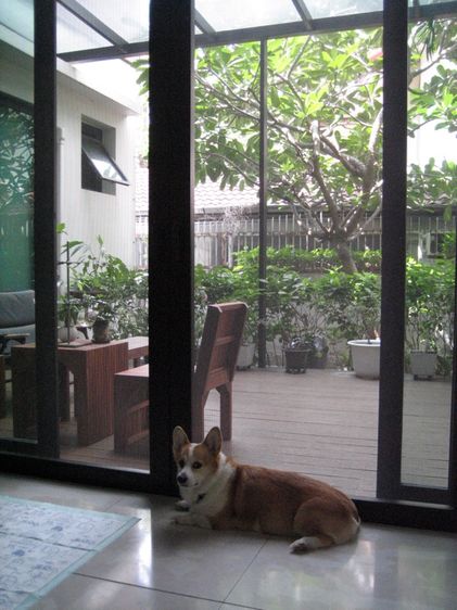 Canon IXY 55 รูปที่ 13