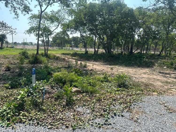 ขายที่ดินเปล่า 1 ไร่