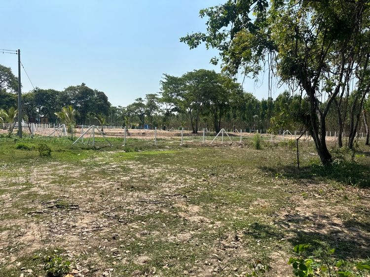 ไม่ใช่ ขายที่ดินเปล่า 1 ไร่ รูปที่ 3