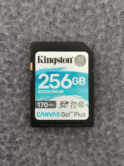 อื่นๆ SD Card Kingston CANVAS Go Plus 256GB (มี 2 อัน)