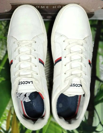 LACOSTE EUROPA Tri 1 LOW TOP SMA รูปที่ 3