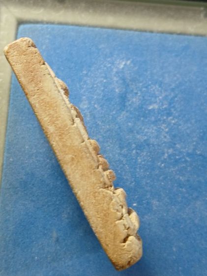 พระสมเด็จหลวงปู่นาคเนื้อดินเก่าแท้ รูปที่ 3