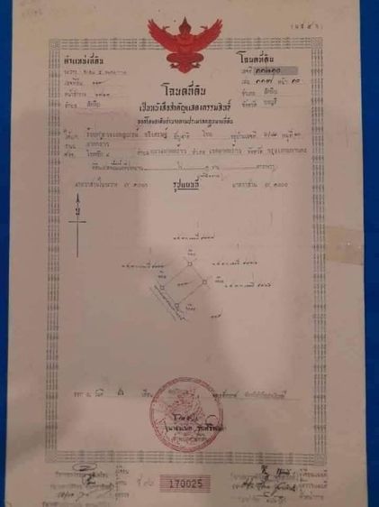 ขายที่ดินเปล่า ตรงข้าม ภัทรนันท์ เตาถ่าน วัดเขาคันธมาทย์