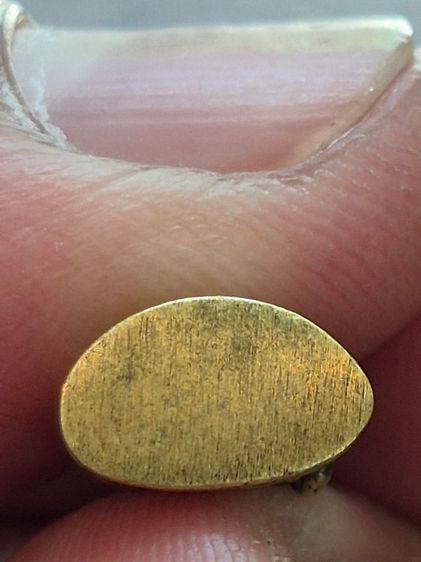 พระชัยทองทิพย์ ปี 95 รูปที่ 7