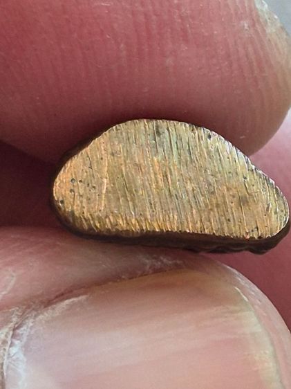 พระชัยวัฒน์ สังฆราชแพ วัดสุทัศน์ รูปที่ 6