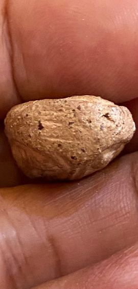 พระกรุวัดจุฬามณี 3 หน้า รูปที่ 5