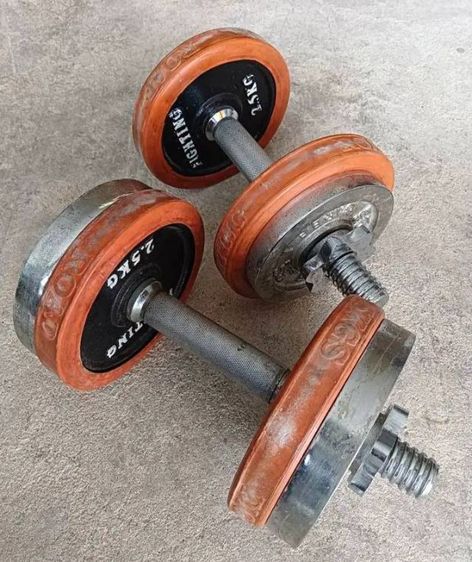 เครื่องออกกำลังกายสำหรับแขน อื่นๆ ดัมเบล