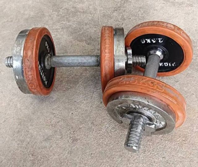 ดัมเบล รูปที่ 2