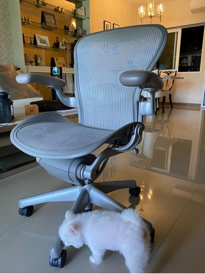 เก้าอี้ Herman Miller Aeron แท้ Size B สี Mineral สภาพดี รูปที่ 2