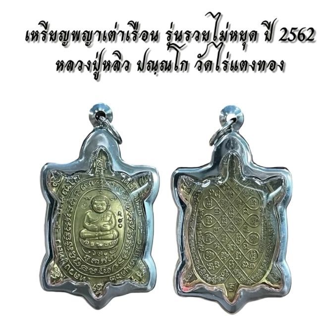 พญาเต่าเรือนหลวงปู่หลิว  รูปที่ 3