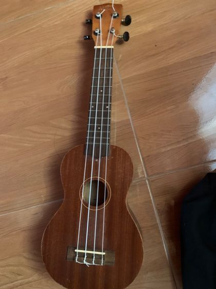 อื่นๆ อูคูเลเล่