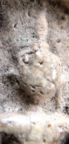 พระสมเด็จ วัดระฆัง บางขุนพรหม วัดเกศไชโย หลวงปู่ภู หลวงปู่นาค รูปที่ 8