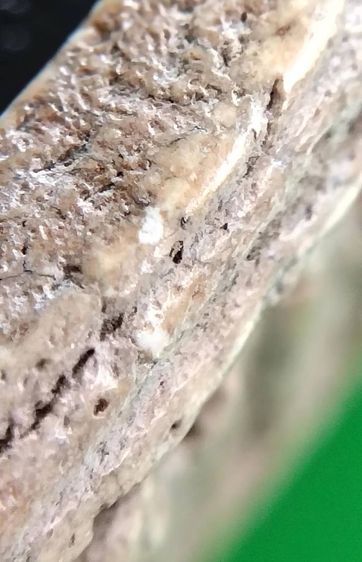 พระสมเด็จ วัดระฆัง บางขุนพรหม วัดเกศไชโย หลวงปู่ภู หลวงปู่นาค รูปที่ 11