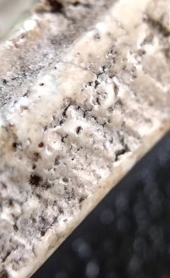 พระสมเด็จ วัดระฆัง บางขุนพรหม วัดเกศไชโย หลวงปู่ภู หลวงปู่นาค รูปที่ 6