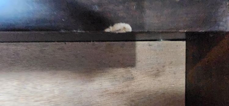 ขายเตียงไม้มะค่า ไม้เนื้อแข็งอย่างดี แข็งแรงทนทาน 6 ฟุต รูปที่ 6