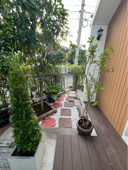บ้านสำเร็จให้เช่าทำธุรกิจ รูปที่ 4