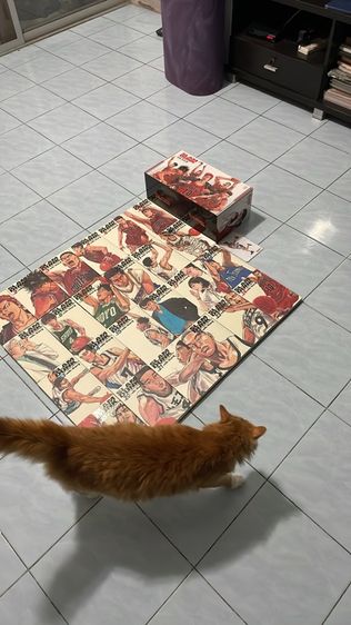 Slam Dunk (Boxset) รูปที่ 4