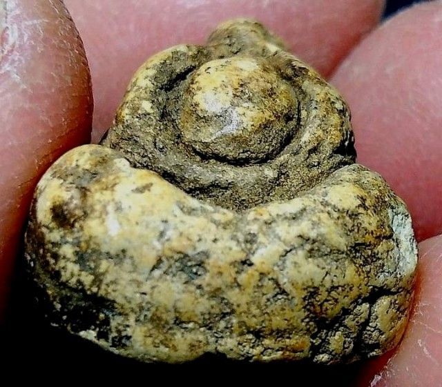 พระปิดตา รูปที่ 8