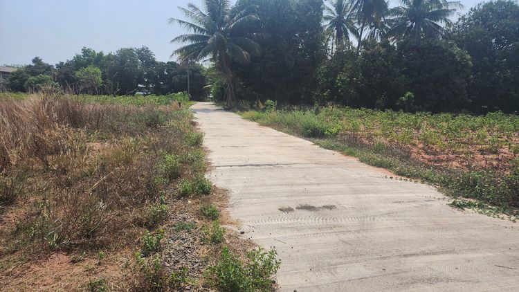 ที่ดินเปล่า รูปที่ 2