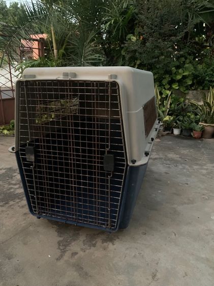 กล่องใส่สุนัขเดินทาง ไซส์ใหญ่ รูปที่ 4