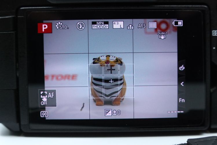 Panasonic Lumix G90 + เลนส์Kit 12-60mm f3.5-5.6 รูปที่ 5