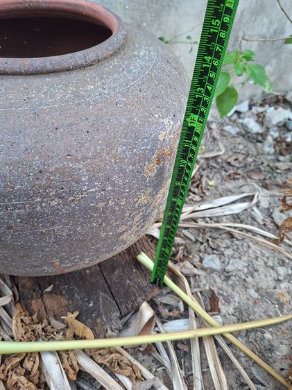 โอ่งโบราณ รูปที่ 10