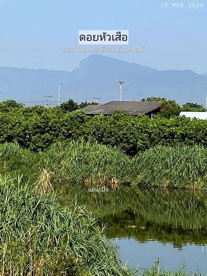 ไม่ใช่ ติดแม่น้ำปิงติดถนนคอนกรีต เจ้าของขายเองวิวสวยเหมาะทำบ้านพักตากอากาศ รูปที่ 3