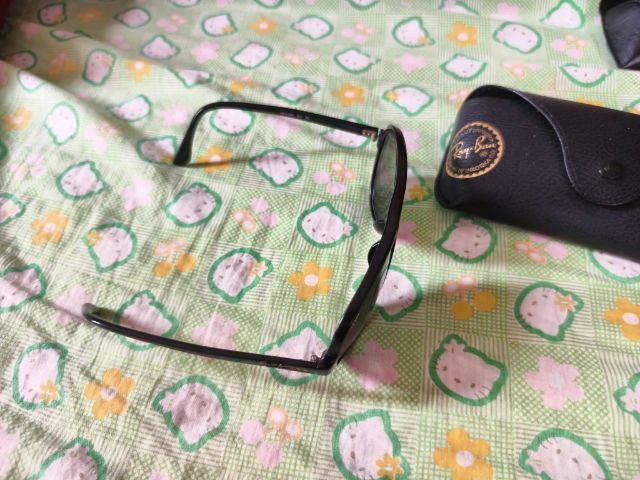 เรแบน รูปที่ 6