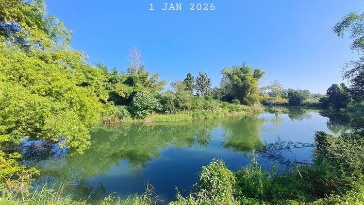 ไม่ใช่ ติดแม่น้ำลี้ติดถนนคอนกรีต ใกล้ทางขึ้นดอยอินทนนท์ เจ้าของขายเองสวนผสมวิวสวยเหมาะทำคาเฟ่ ร้านอาหารริมน้ำ ลานแคมป์ปิ้ง