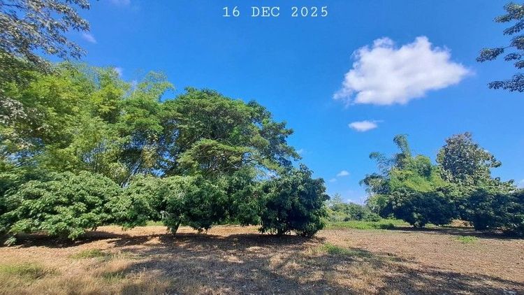 ไม่ใช่ ติดแม่น้ำลี้ติดถนนคอนกรีต ใกล้ทางขึ้นดอยอินทนนท์ เจ้าของขายเองสวนผสมวิวสวยเหมาะทำคาเฟ่ ร้านอาหารริมน้ำ ลานแคมป์ปิ้ง รูปที่ 4