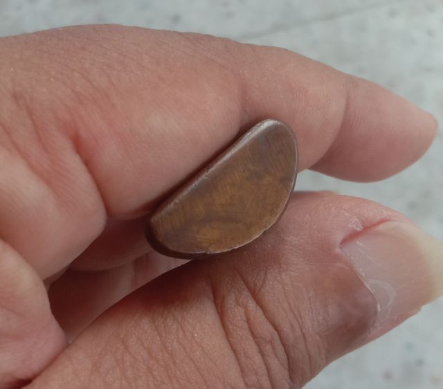 รูปหล่อโบราณเก่า ลพ.ไปล่
 รูปที่ 5