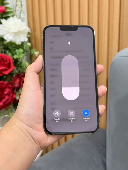 iphone 13 promax รูปที่ 9