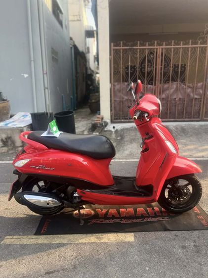 yamaha grand filano รูปที่ 6