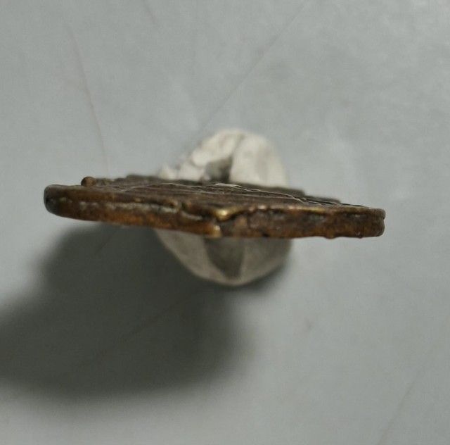 เหรียญหล่อหลวงพ่อช้างวัดเขียนเขต รูปที่ 5