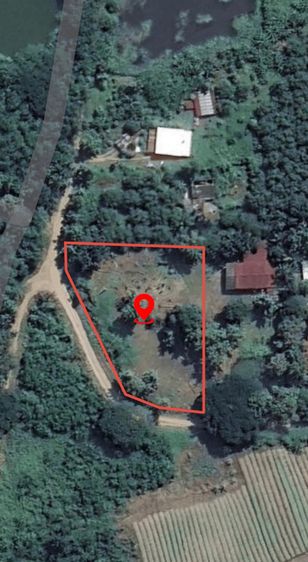 ขายด่วน ที่ดิน เพชรบูรณ์ รูปที่ 3