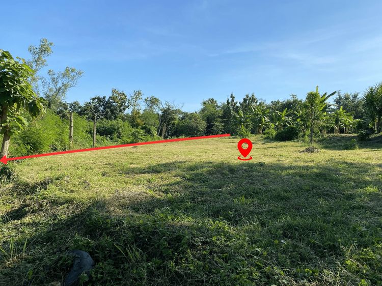 ขายด่วน ที่ดิน เพชรบูรณ์ รูปที่ 2