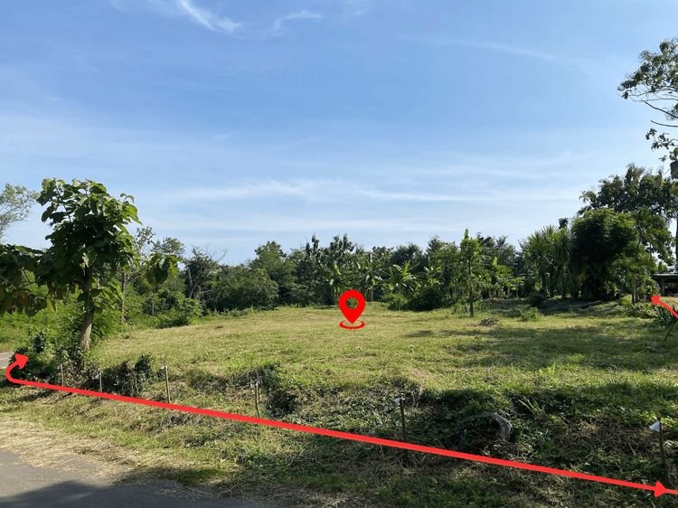 ขายด่วน ที่ดิน เพชรบูรณ์