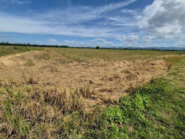 ใช่ ขายที่ดินเมืองเพชรบูรณ์ ใกล้ตัวเมืองเพียง 15 นาที ไปเขาค้อแค่ 1 ชม. วิวธรรมชาติ🌿 รูปที่ 4